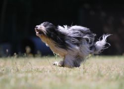 IMG_5449b